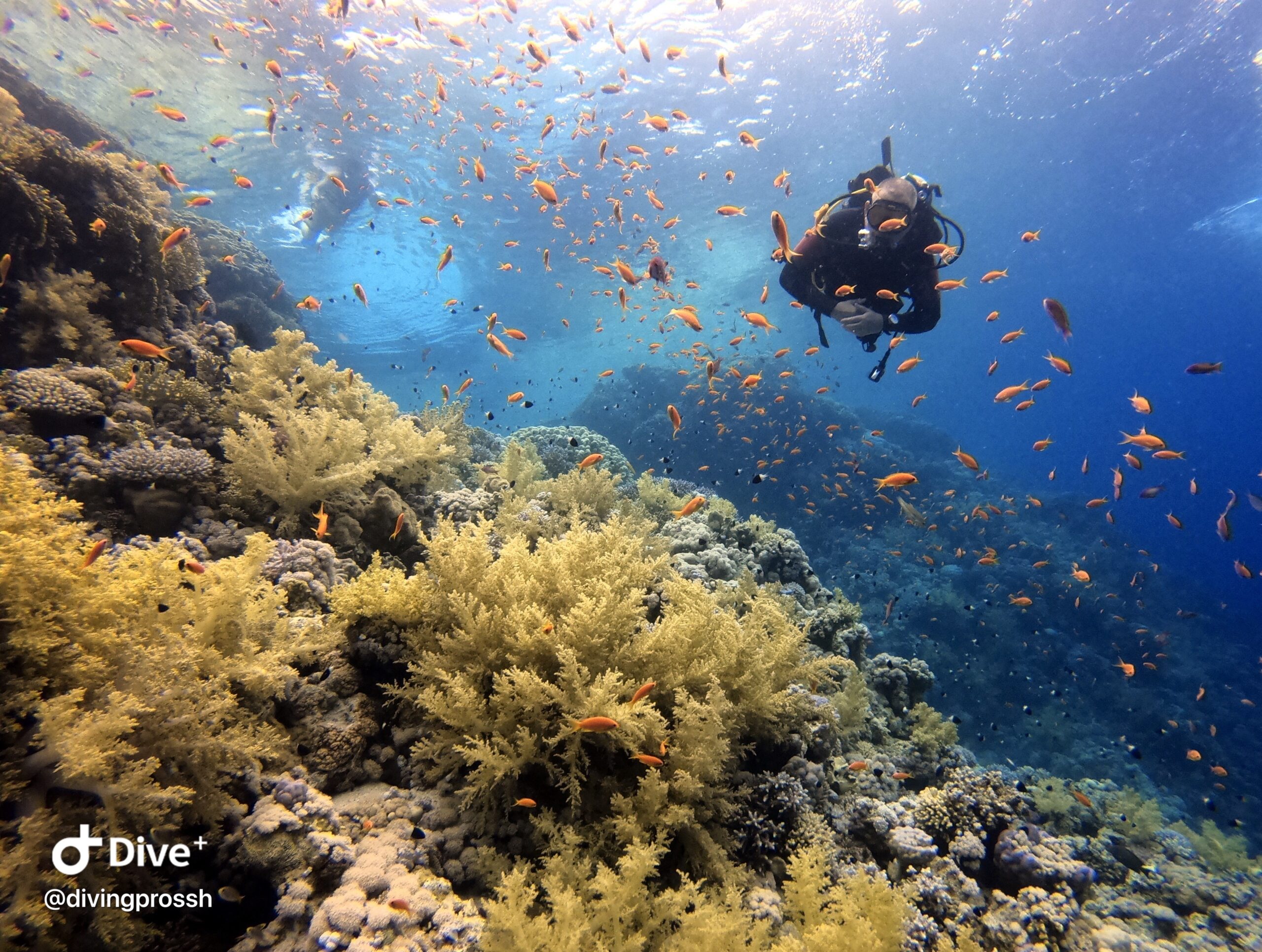 Merülés utáni visszajelzések